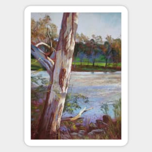 Portrait of a River Gum Sticker